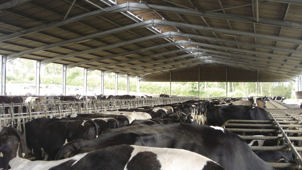 A construção e manutenção das instalações animais são fundamentais para alcançar um adequado grau de bem-estar, principalmente em sistemas de produção intensivos.