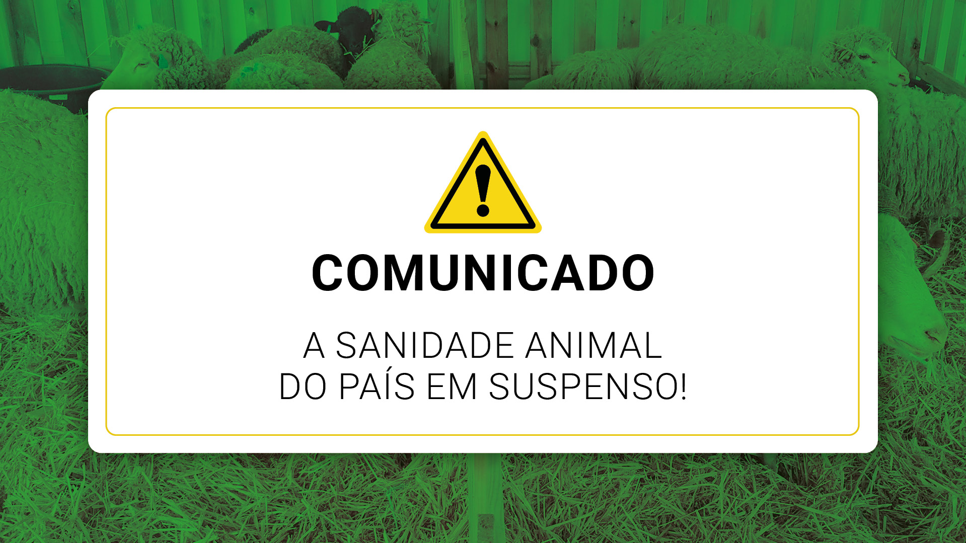 A UCADESA manifesta a sua profunda preocupação relativamente ao atraso no início da atividade das Organizações de Produtores de Sanidade Animal (OPSA).